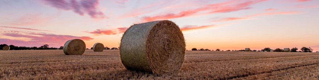 Farm Safety Week: Agricultural fatal injuries rising